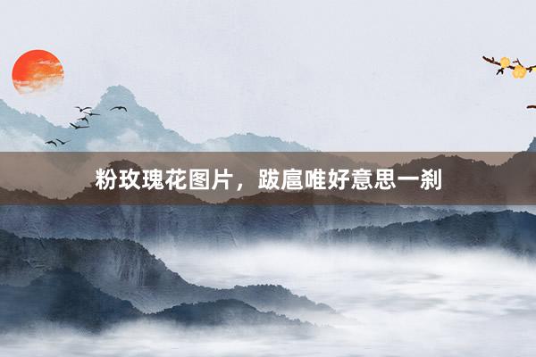 粉玫瑰花图片，跋扈唯好意思一刹