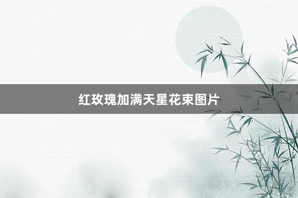 红玫瑰加满天星花束图片