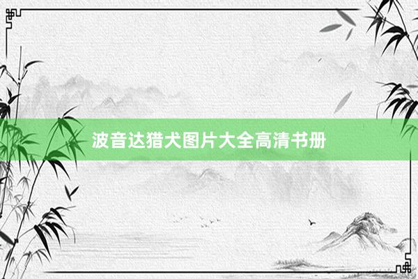 波音达猎犬图片大全高清书册