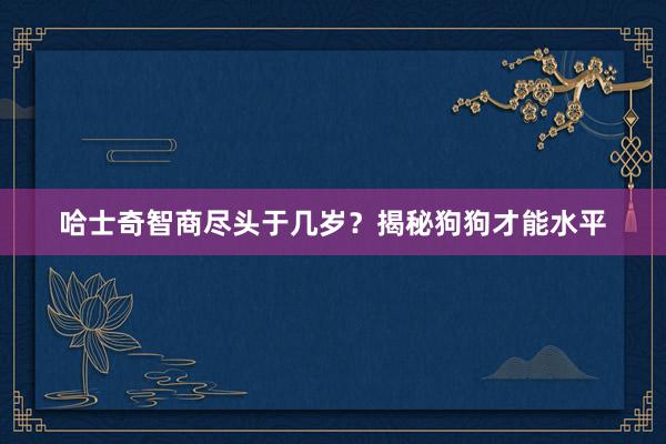 哈士奇智商尽头于几岁？揭秘狗狗才能水平