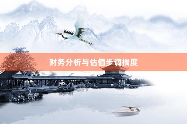 财务分析与估值步调揣度